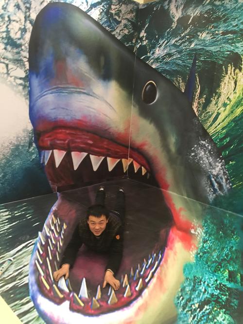 北京3d立体画3d墙地结合之【大鲨鱼】作品展