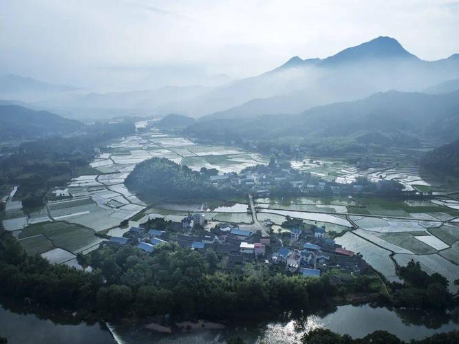 置身其中 小密夏日清晨 (摄影:柳良金) 来源:南平市浦城县融媒体中心