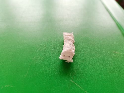 科学小实验《会动的毛毛虫》——云河回小幼儿园中班