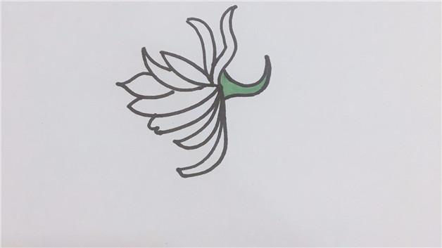 昙花的简笔画怎么画昙花简笔画好看