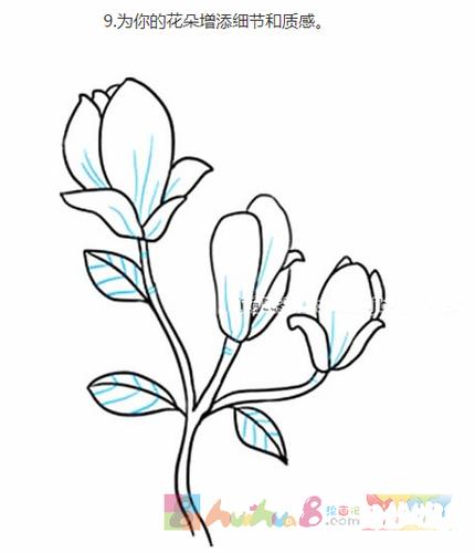 儿童画玉兰花简笔画步骤图片大全