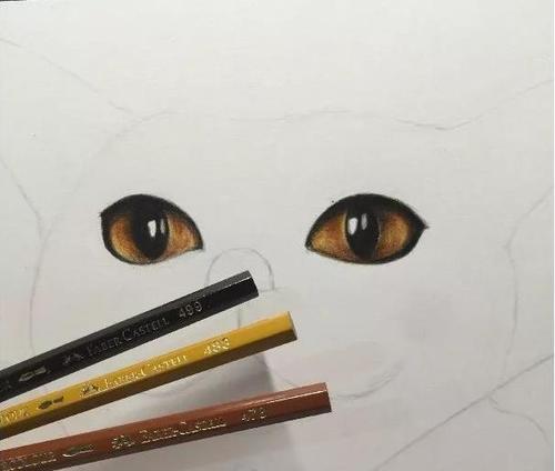 猫咪绘画教程:只需要8步,教你画出一只可爱的小猫咪