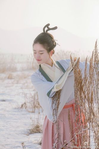 年岁如霜累,簌簌不惹尘】