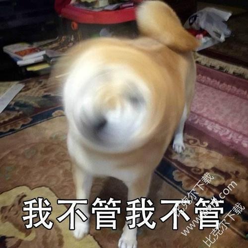 9枚高清版 最新版 小黄狗电钻式拒绝表情包全部内容 1,我不许我不许