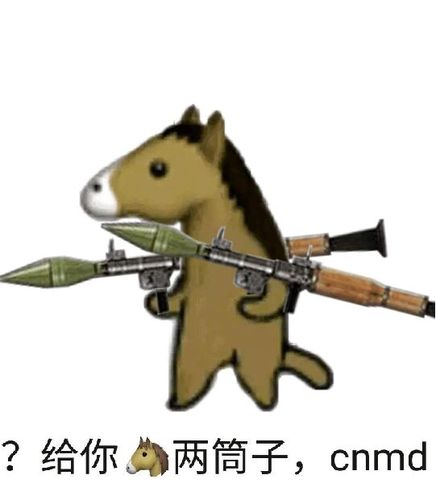 给你妈两筒子:cnmd-马,骂人,火箭筒