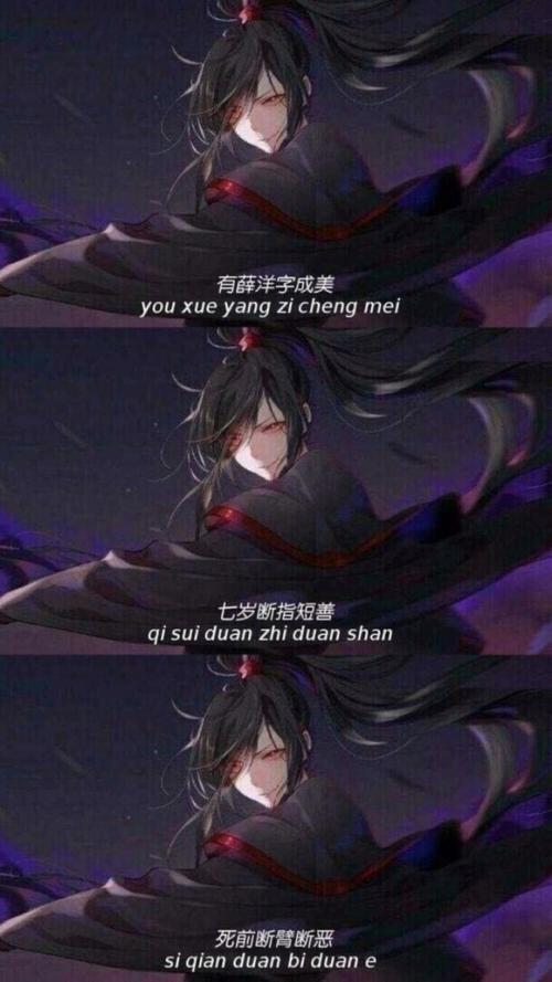 薛洋我累了 蓝忘机蓝曦臣的母亲终是岁月,世间的险恶,把一个好孩子