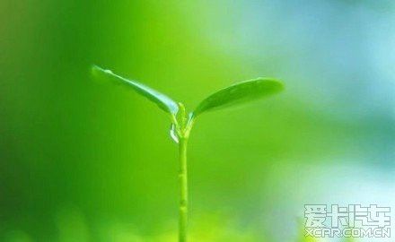 人生总会有不期而遇的温暖和生生不息的希望