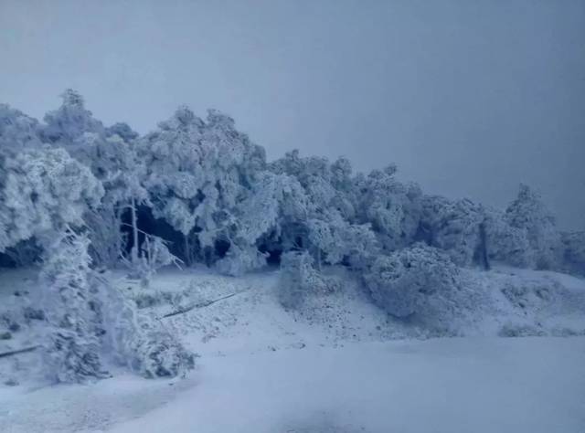 雪!雪!浙江多地今天迎来初雪,收下这波雪景图