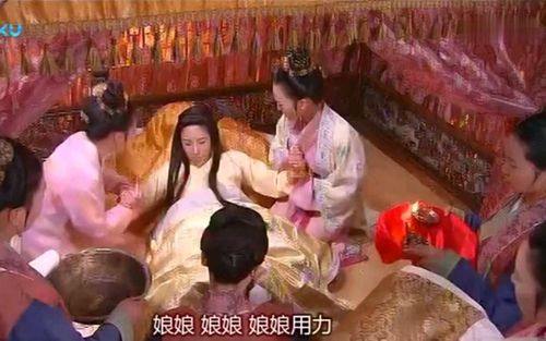 电视剧怀孕生孩子古装 (第1页)