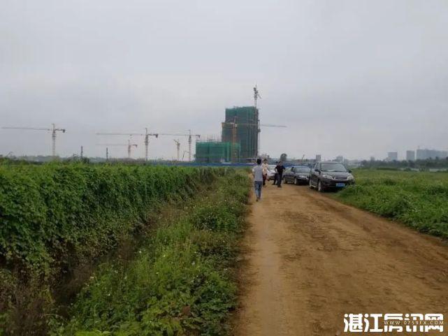 激烈竞价69轮,溢价率高达41.89%-湛江房