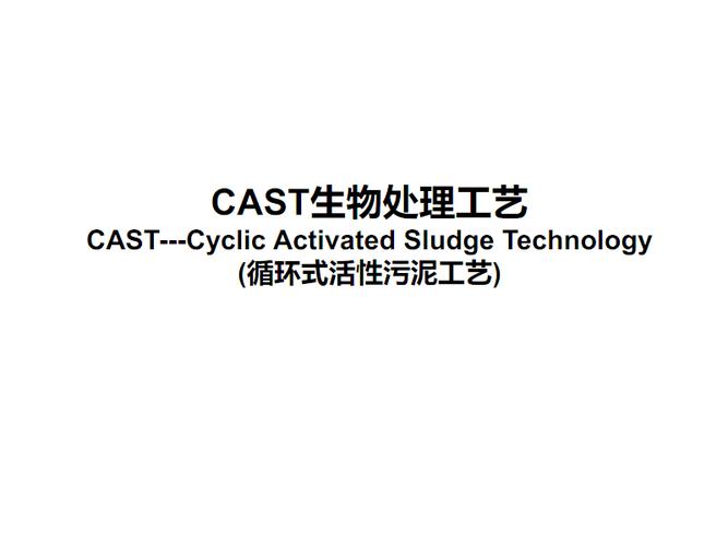 cast工艺介绍cast工艺介绍.pdf