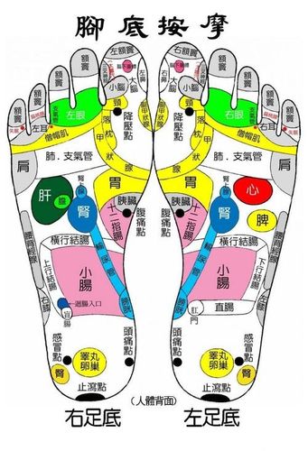 女性脚底按摩的好处