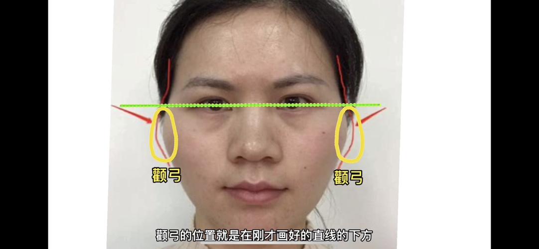颧弓的位置就是在刚才画好的直线的下方.