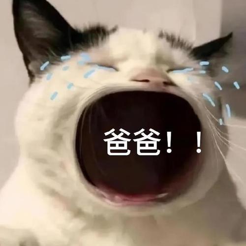 表情包叫爸爸表情包精选