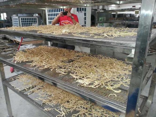 萝卜干烘干机空气能果蔬烘干除湿一体机