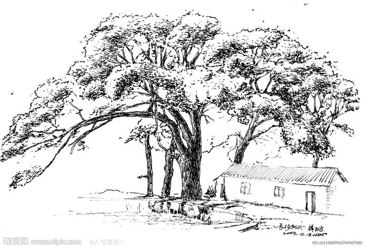 乡村大树手绘速写黑白画图片