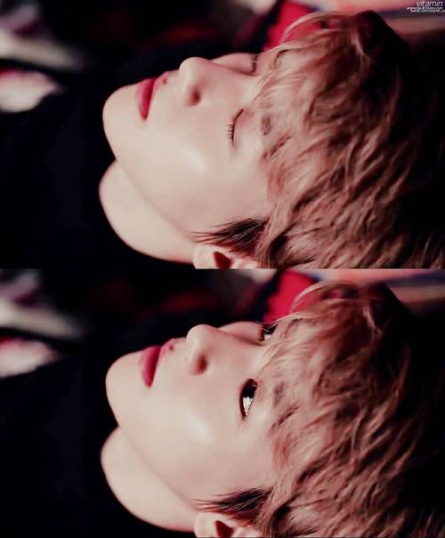 exon边伯贤高清壁纸