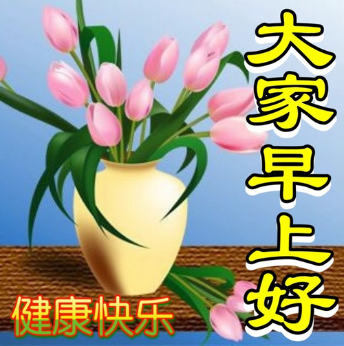 中老年表情包,快乐心中徜徉,自由随风飘荡!