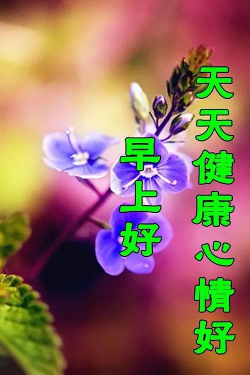 11月3日秋天漂亮早上好图片动态表情大全,最美风景好