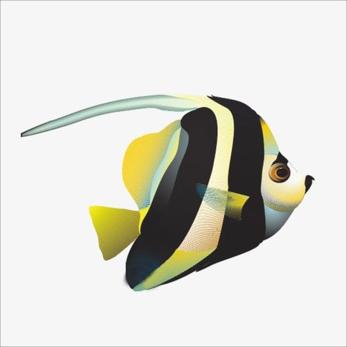 海鱼 卡通鱼 斑马鱼
