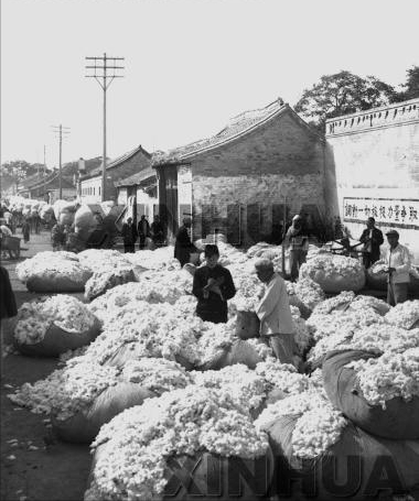 邯郸市五六十年代老照片