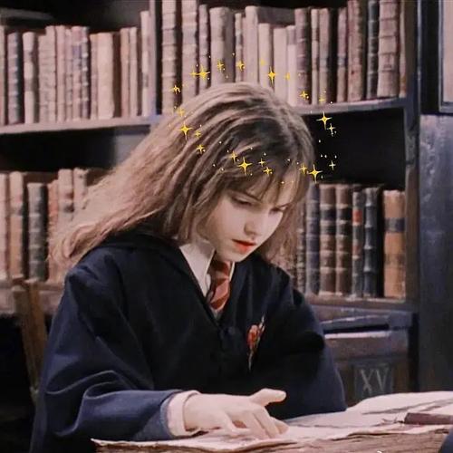 姐妹们有没有哈利波特的头像呀电影