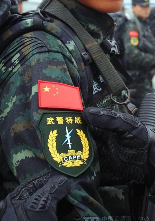 这种臂章是2016年配发的.