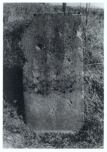 [转载]南京城市记忆:170期曾水源墓