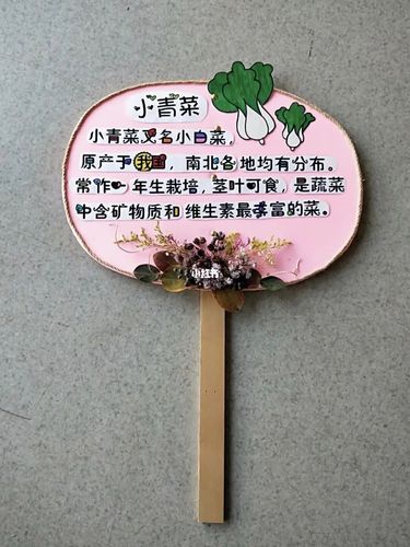 植物角区角牌_手工制作_兴趣爱好_手工