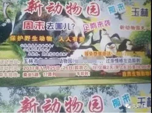 关于龟山动物园事件,老板出来说话了!