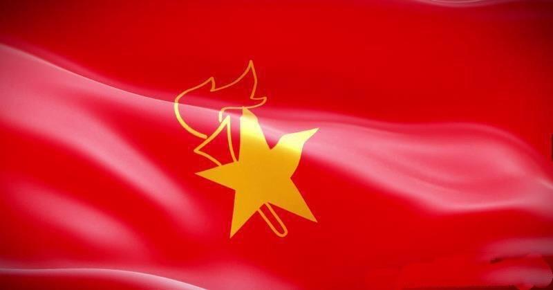 我爱红领巾,我为队旗添光彩—廊坊市第十七中学一年级少先队入队仪式