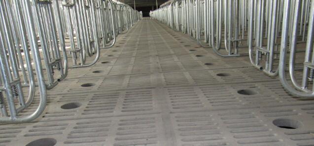 重庆巴南养殖漏粪板价格