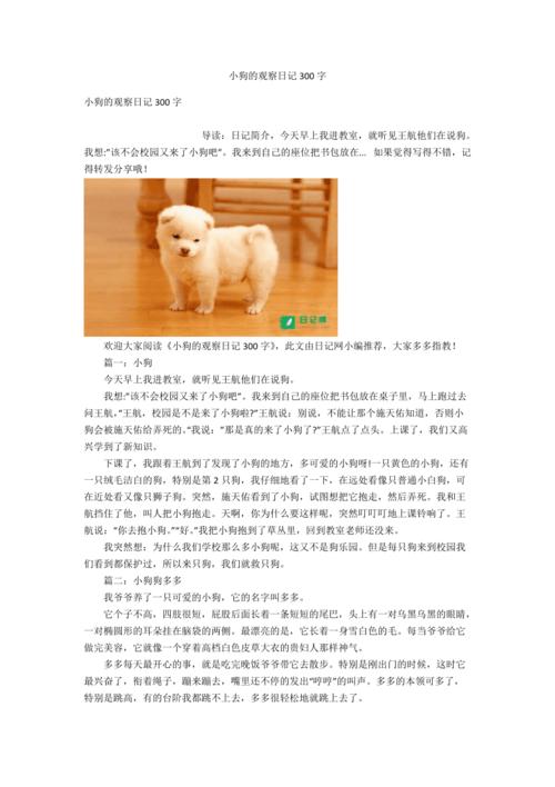 小狗的观察日记300字