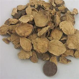 附子应用浅见|风寒|乌头|李时珍|方药|痈疽_网易订阅