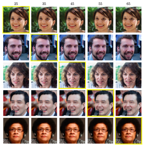 人脸年龄编辑无可奈何花落去似曾相似春又来