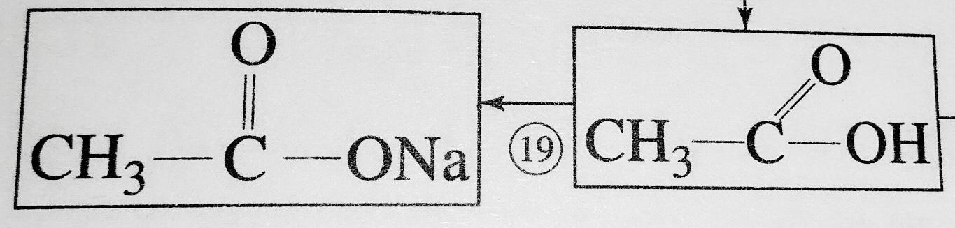 为何在课本中,乙酸的双键是倾斜的,乙酸钠的双键却是垂直的?(见图)