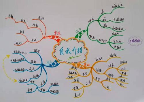 【大脑方针】吴彩珠:如何用思维导图做自我介绍