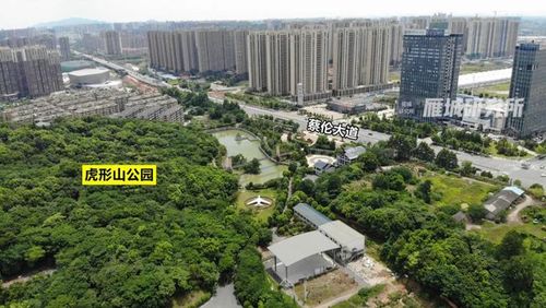 2295亩石鼓区虎形山片区迎来大开发