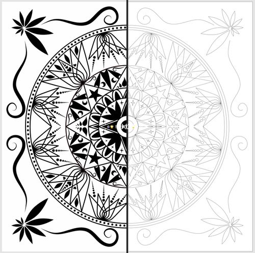 ipad矢量插画|四象限对称|曼陀罗|黑白画_插画_黑白画