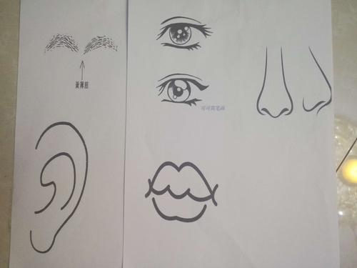 五官——眼睛,鼻子,耳朵,眉毛,嘴