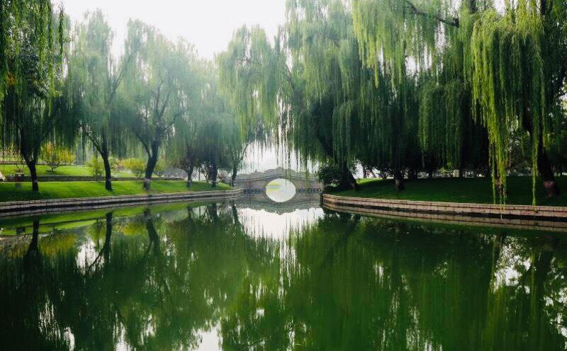 秋色浸染的龙潭湖,不似江南,胜似江南|龙潭湖|龙潭湖公园|秋色_新浪