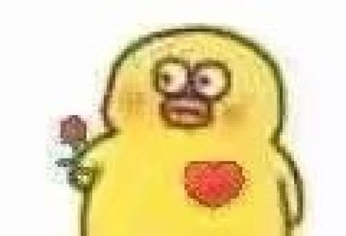 表情包 鸭鸭鸭 加油鸭