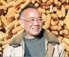 罗平安