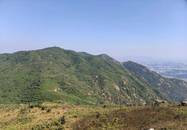 黄杨山爬山记