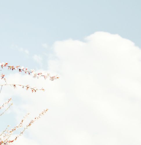 极简风唯美白色头像,背景图