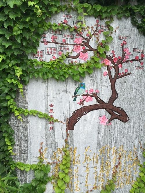 蒙阴百花峪-大洼周末游july.