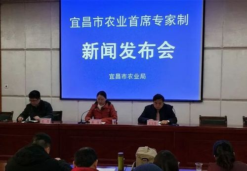 经省人民政府同意,省水利厅日前批复《宜昌市湖泊保护总体规划》.