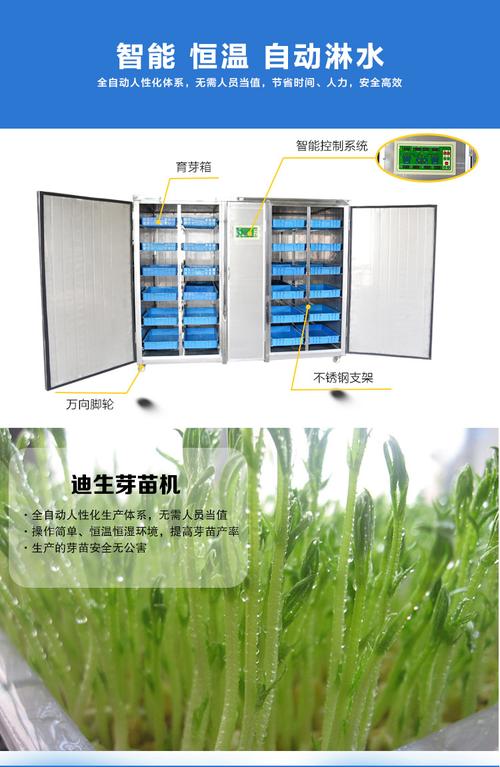 花生芽机全自动水培花生芽设备自动生花生芽机器花生苗芽菜种植