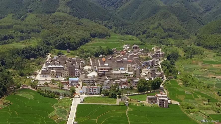 转型升级,推动乡村振兴,《美丽广东》栏目组走进清远市佛冈县高岗镇