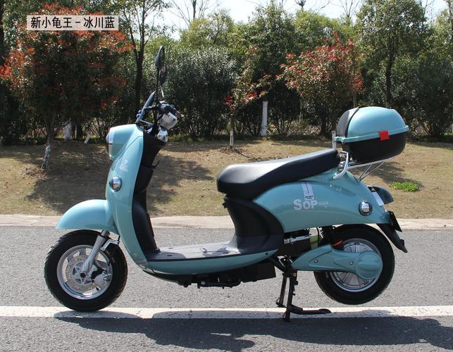 出口新小龟王电动摩托车男女60v电动车生产厂家